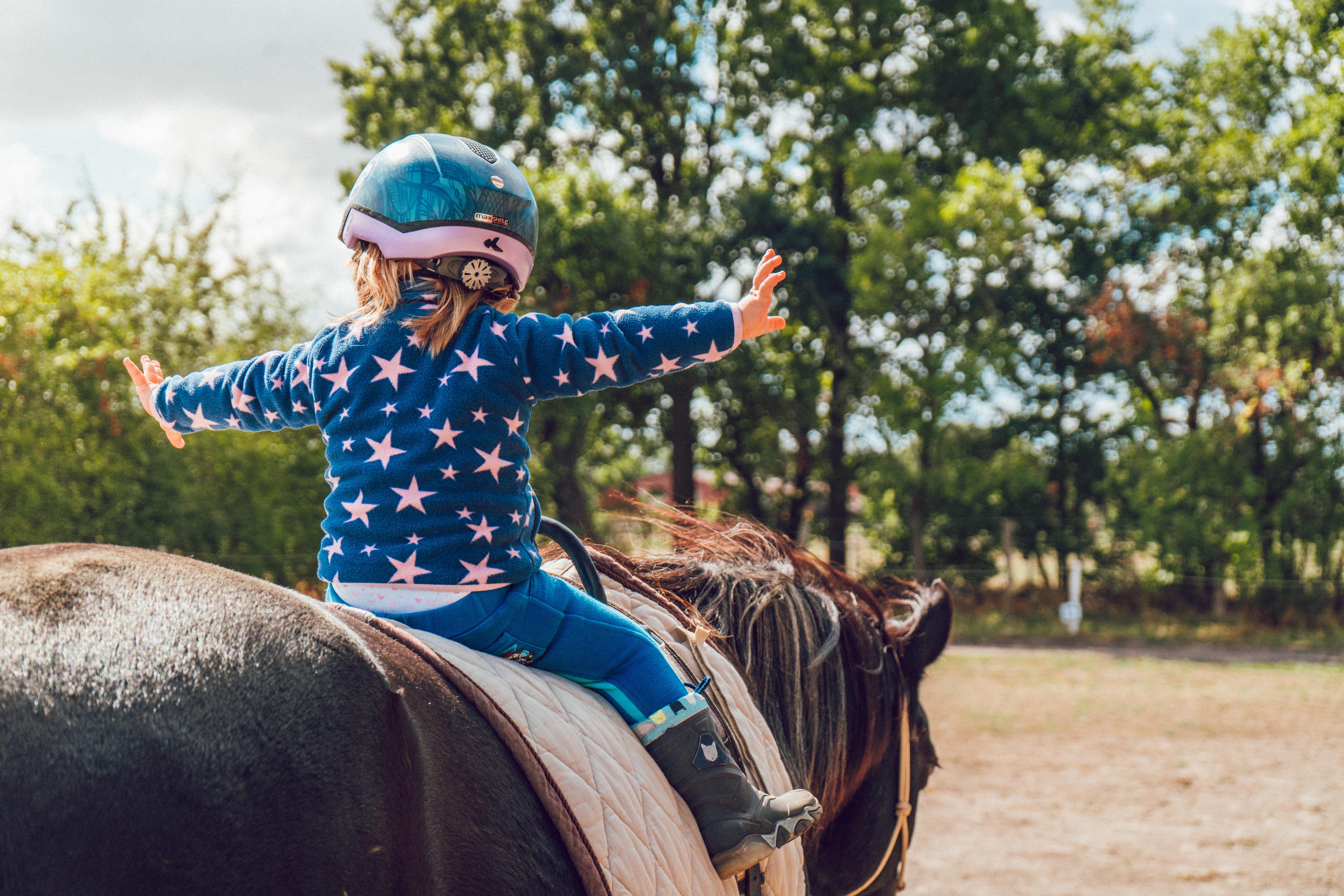 Zašto bi djeca trebala voljeti konje
