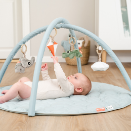 Baby gym - Playground Blue